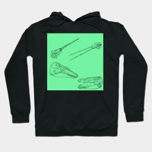 Arctic Whale Skulls and Oddities Mint Hoodie